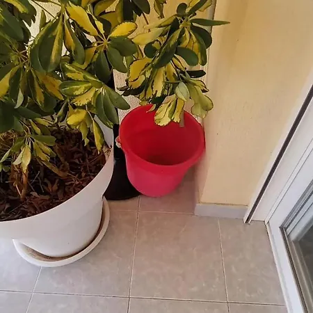 Acapulco First Line アパート ベニドルム